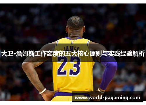 大卫·詹姆斯工作态度的五大核心原则与实践经验解析