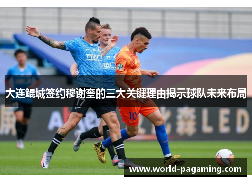 大连鲲城签约穆谢奎的三大关键理由揭示球队未来布局