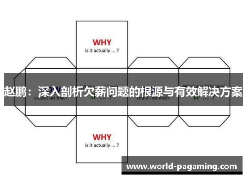 赵鹏：深入剖析欠薪问题的根源与有效解决方案