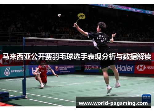 马来西亚公开赛羽毛球选手表现分析与数据解读 马来西亚公开赛羽毛球选手表现分析与数据解读