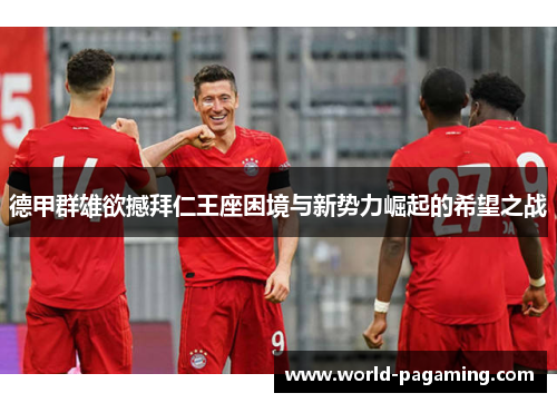 德甲群雄欲撼拜仁王座困境与新势力崛起的希望之战 德甲群雄欲撼拜仁王座困境与新势力崛起的希望之战