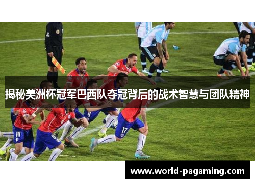 揭秘美洲杯冠军巴西队夺冠背后的战术智慧与团队精神