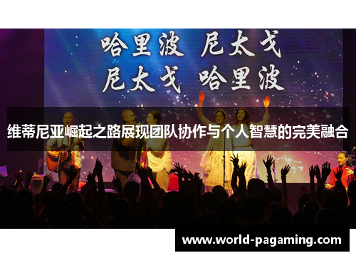 维蒂尼亚崛起之路展现团队协作与个人智慧的完美融合