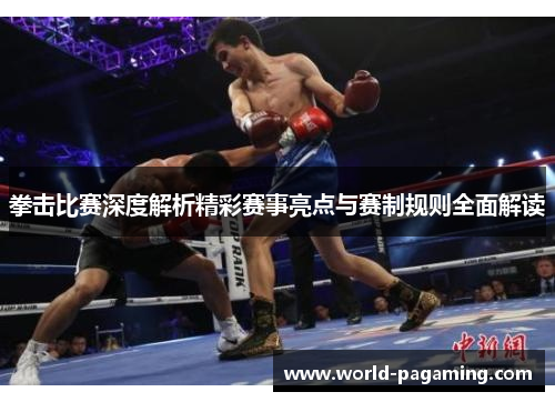 拳击比赛深度解析精彩赛事亮点与赛制规则全面解读 拳击比赛深度解析精彩赛事亮点与赛制规则全面解读