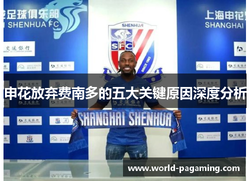 申花放弃费南多的五大关键原因深度分析