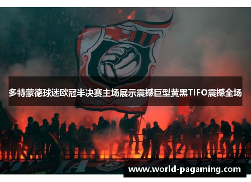 多特蒙德球迷欧冠半决赛主场展示震撼巨型黄黑TIFO震撼全场