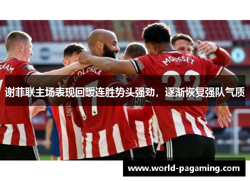 谢菲联主场表现回暖连胜势头强劲,逐渐恢复强队气质 谢菲联主场表现回暖连胜势头强劲,逐渐恢复强队气质