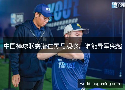中国棒球联赛潜在黑马观察，谁能异军突起